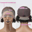 Highlight Pixie Cut Lace Front Wig Affordable Glueless Wig