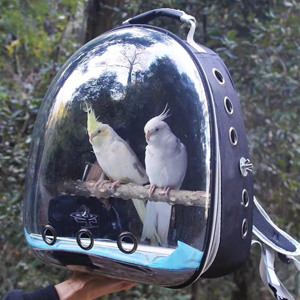 Bird Carrier Backpack for Parrots and Small Birds: Stylish Transparent Design  ourlum.com   