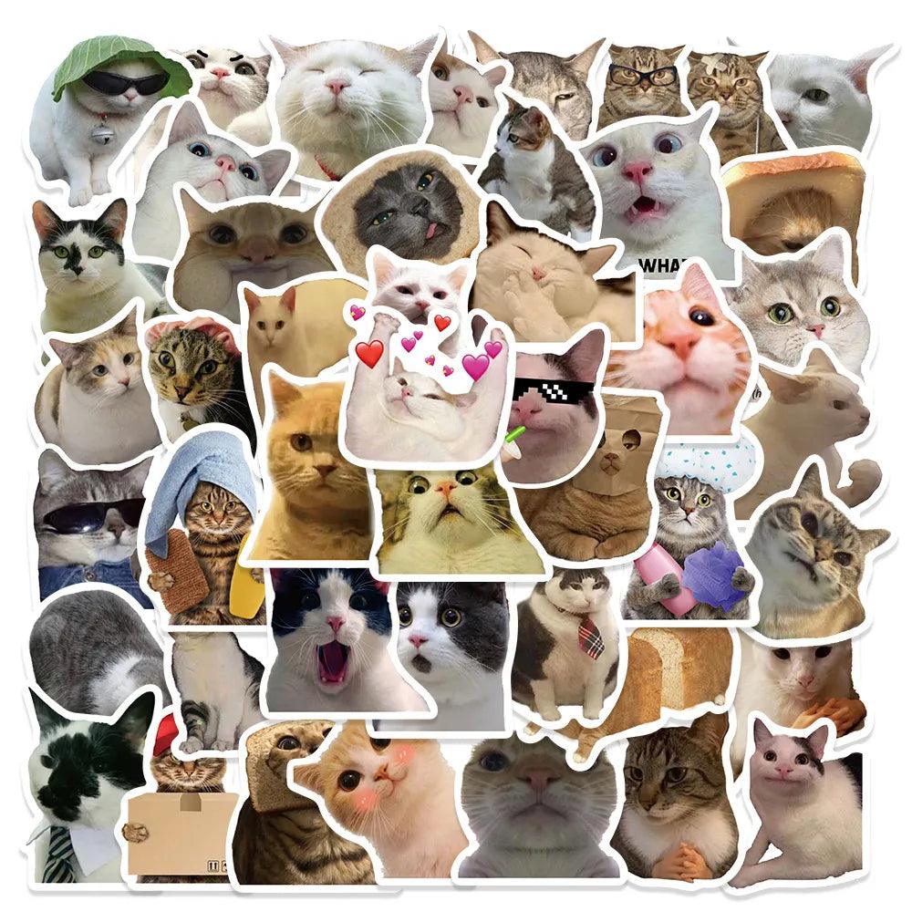 Funny Cat MEME Stickers Pack: Vibrant DIY Decals for Kids and Gadgets  ourlum.com 10pcs Cat MEME  