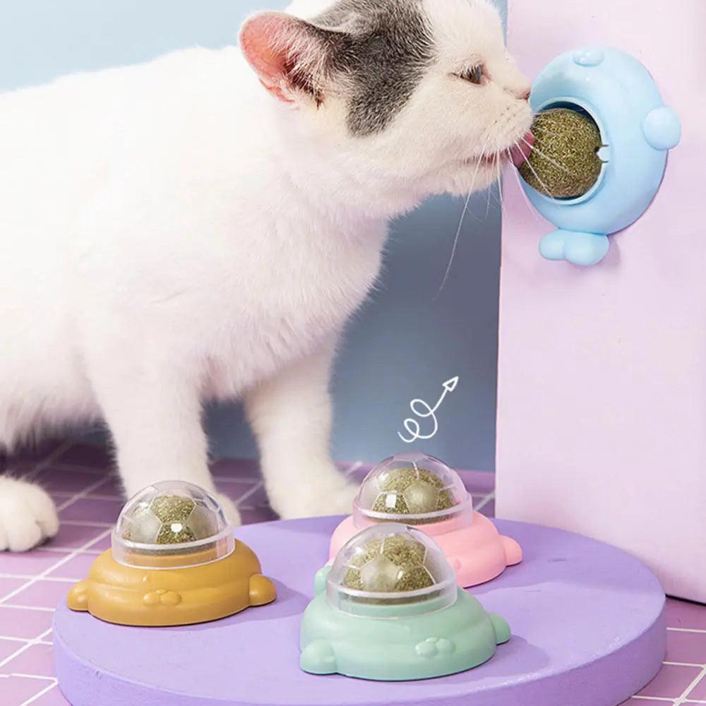 Catnip Wall Ball Interactive Dental Toy for Cats  ourlum.com   