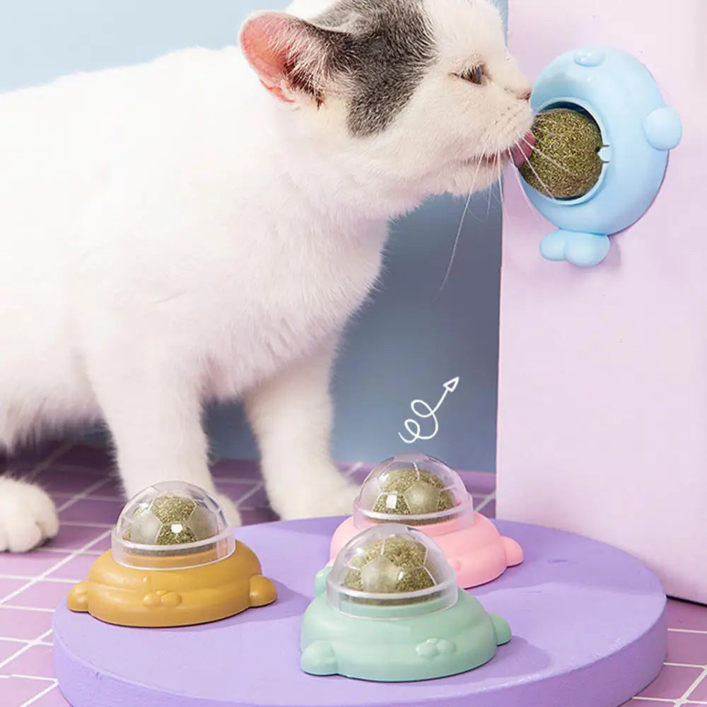 Catnip Wall Ball Toy: Natural Teeth Cleaning and Snack Delight  ourlum   