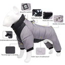 Winter Dog Coat for Small to Medium Breeds - Stylish Outdoor Pet Jacket to Keep Your Pup Warm and Cozy  ourlum.com   