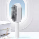 Self Cleaning Hair Brush for Thick Hair with Air Cushion