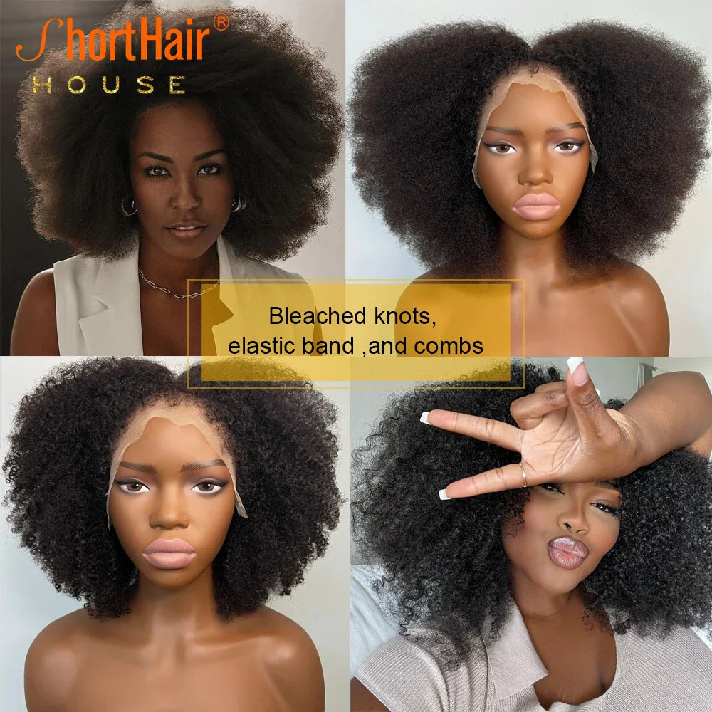 Afro Curly 360 Lace Frontal Wig - 250% Density Glueless Human Hair for Women