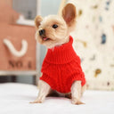 Knitted Dog Sweater: Cozy Winter Fashion for Small Breeds