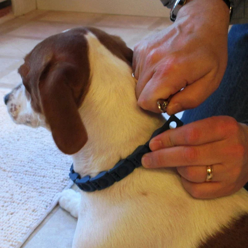 Adjustable Anti-Bark Dog Training Collar for Good Obedience  ourlum.com   