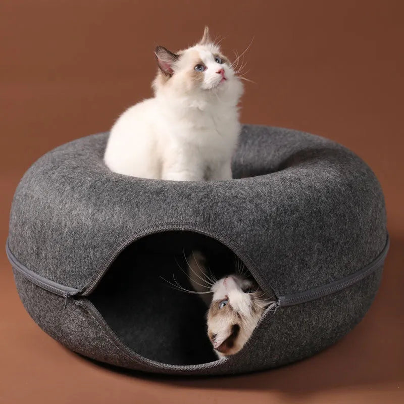 Donut Cat Bed Tunnel: Interactive Toy & Training House for Kittens  ourlum.com   