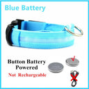 LED Light Up Dog Collar: Customizable Night Safety, Waterproof, Multiple Flash Modes  ourlum.com Blue Button Battery XS Neck 28-38 CM United State