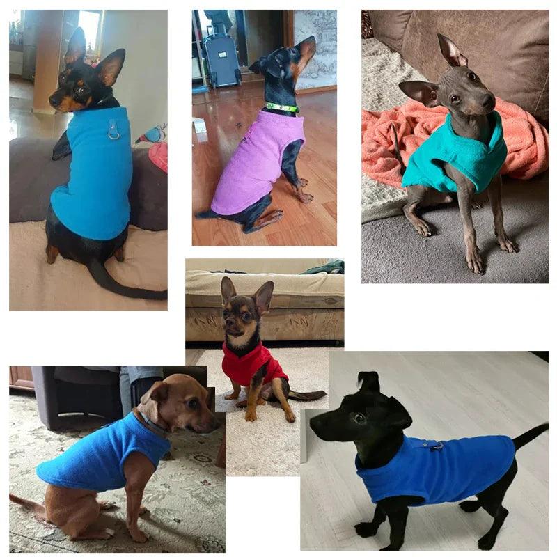 Cozy Winter Pet Clothes: Warm Fleece Dog Jacket for Small Breeds & Kittens  ourlum.com   