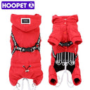 Winter Warm Dog Jacket for Small to Medium Dogs: Stylish & Cozy Pet Coat  ourlum.com   