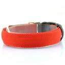 LED Glow Safety Dog Collar: Adjustable Flashing Necklace for Dogs and Cats  ourlum.com Red XS Neck 28-38cm 