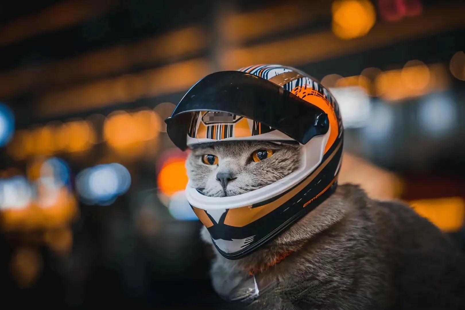 Pet Motorcycle Helmet: Stylish Outdoor Safety Gear for Small Pets  ourlum.com   