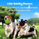 Rubber Dog Ball Dental Chew Toy Eco-Friendly Snack Dispenser