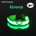 LED Dog Collar: Safety Night Light Flashing Necklace for Pet Visibility  ourlum Green USB Charging XS NECK 28-38 CM 