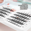 3D Fluffy Mink Fox Eye Lash Extensions: Natural Elegance for Stunning Eyes