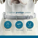 Anti-Flea Collar for Dogs and Cats: Long-Lasting Protection and Water-Resistant  ourlum.com   