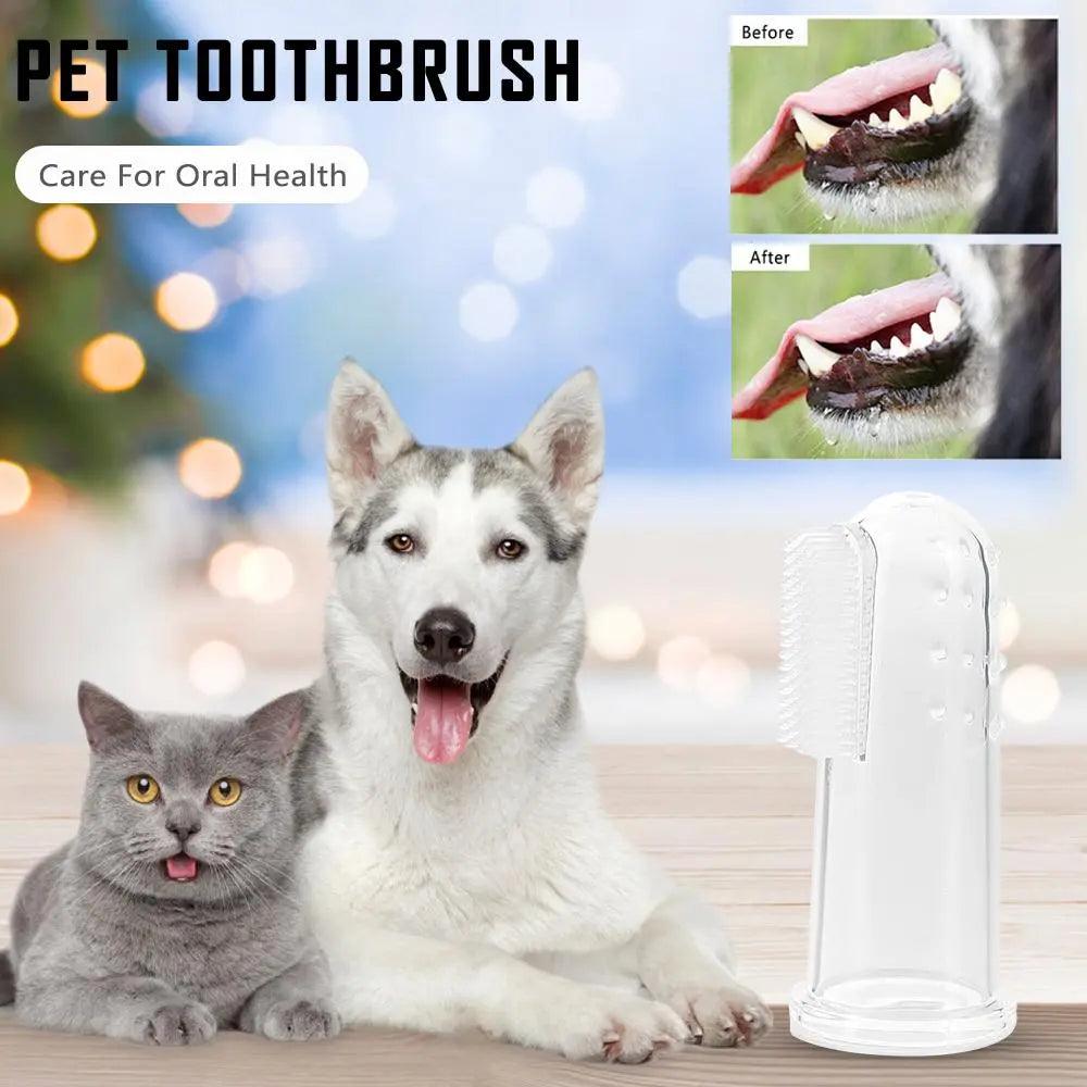 Pet Dental Care Kit: Soft Toothbrushes, Finger Brush, Plush Tools  ourlum.com   