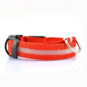 Illuminated Dog Collars: Enhanced Pet Safety & Visibility Solution  ourlum.com Red battery XS neck 28-40cm 