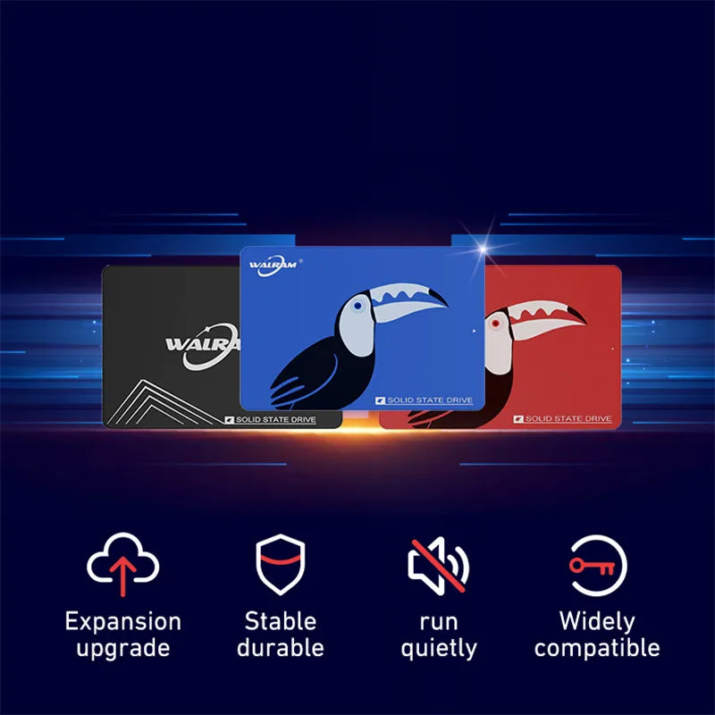 WALRAM SSD: High-Speed Storage Solution with Wide Compatibility  ourlum.com   