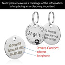 Personalized Stainless Steel Pet ID Tag for Dogs and Cats  ourlum.com O  