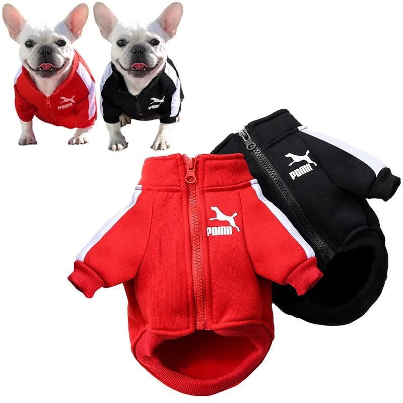 Winter Baseball Dog Jacket for Small to Medium Dogs - Stylish French Bulldog, Chihuahua, Pug Sweatshirt Costume  ourlum.com   