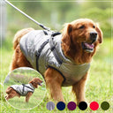 Stylish Winter Dog Jacket with Harness for Chihuahuas and Bulldogs