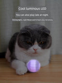 Electric Cat Toy Smart Jumping Ball USB Charging Bounce