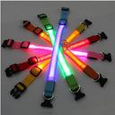 LED Light Up Dog Collar: Customizable Night Safety, Waterproof, Multiple Flash Modes  ourlum.com   