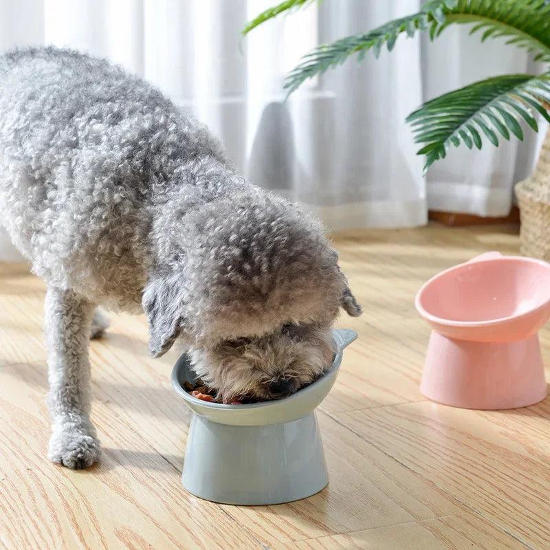 Cat Bowl: Elevated Feeding Cup for Comfortable Dining  ourlum.com   