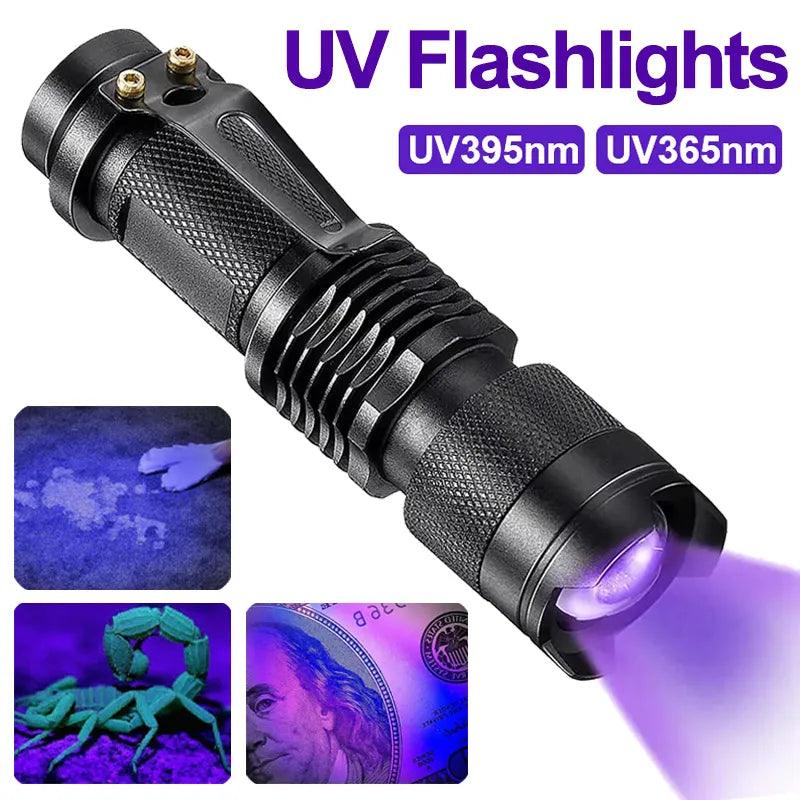 Portable Mini UV Flashlight for Pet Urine Detection & Scorpion Finder  ourlum.com   