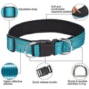 Reflective Neoprene Padded Dog Collar: Stylish Safety for Medium to Large Pets  ourlum.com   