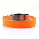 LED Glow Safety Dog Collar: Adjustable Flashing Necklace for Dogs and Cats  ourlum.com Orange XS Neck 28-38cm 