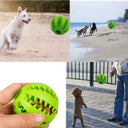 Interactive Rubber Dog Chew Toy for Dental Health Relief