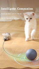 Kimpets Cat Toys Mouse Teaser Ball Fun Moving Toy for Pets