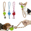 Dog Treat Balls Interactive Rope Rubber Toys for Small Dogs