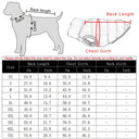 Winter Dog Vest Jacket: Stylish, Reversible & Waterproof Coat for Dogs  ourlum.com   