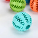 Rubber Dog Ball Dental Chew Toy Eco-Friendly Snack Dispenser