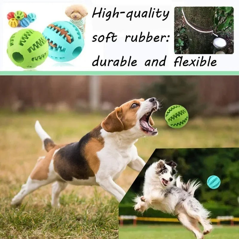 Rubber Dog Ball: Dental Chew Toy for Pet Dogs - Eco-Friendly Snack Dispenser  ourlum.com   