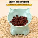 Large Capacity Cartoon Cat Shape Pet Feeder Cute Design