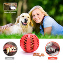 Interactive Rubber Dog Toy: Teeth Cleaning Chew Ball Fun