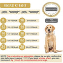 Luxury Gold Cuban Chain Dog Collar: Stylish Jewelry for Dogs of All Sizes  ourlum.com   