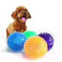 Small Dog Interactive Hedgehog Ball Toy for Teeth Cleaning