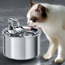 2L Fully Stainless Steel Pet Water Dispenser Automatic Cat Water Fountain