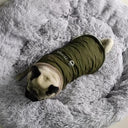 Winter Dog Jacket: Stylish & Warm Small Breed Pet Coat  ourlum.com   