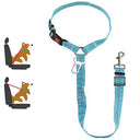 Dog Safety Belt: Professional Safety Leash for Cats and Dogs  ourlum.com Plus insert Lt. Blue  