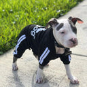 Adidog Luxury Winter Sweater for Small to Medium Dogs  ourlum.com   