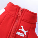 Winter Baseball Dog Jacket for Small Medium Dogs - Stylish and Warm Pet Hoodie  ourlum.com   