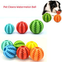 Silicone Interactive Bite-Resistant Dog Toy Ball for Small Dogs