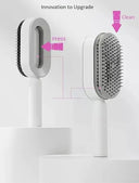 Self Cleaning Hair Brush for Thick Hair with Air Cushion