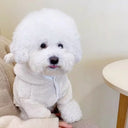 Winter Dog Clothes for Small Medium Dogs Hoodies